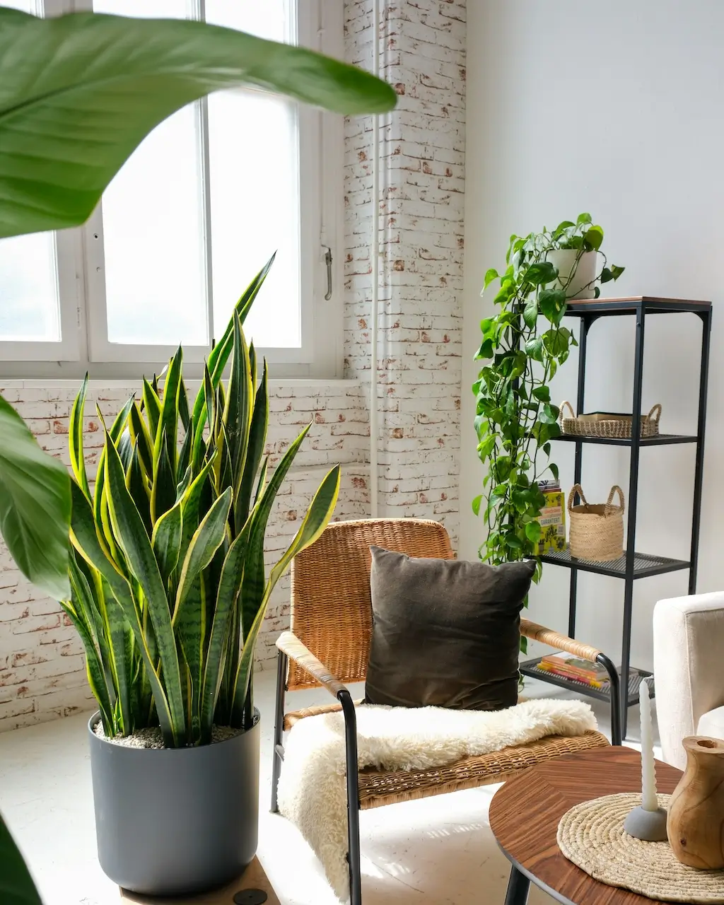 Trop chaud dans votre appartement ? Nos astuces pour garder la fraicheur cet été